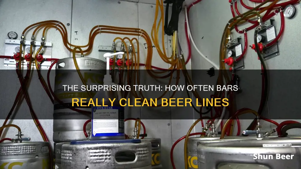 how often do bars clean beer lines