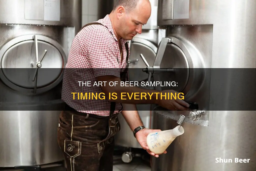 how often do you sample beer during fermenting