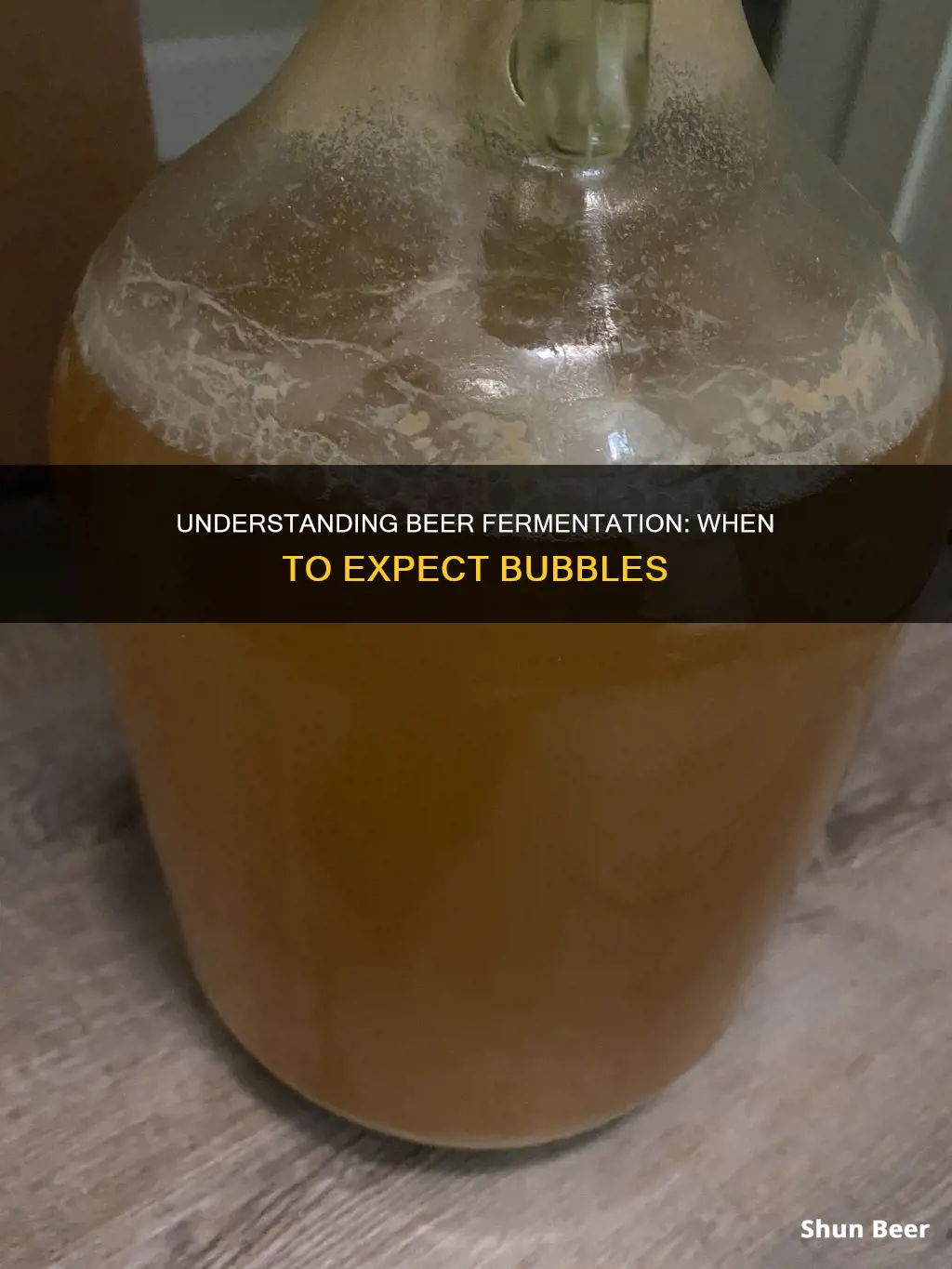 how often should my fermenting beer bubble