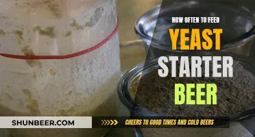 Mastering Yeast Feeding: The Optimal Feeding Schedule for Beer Starters