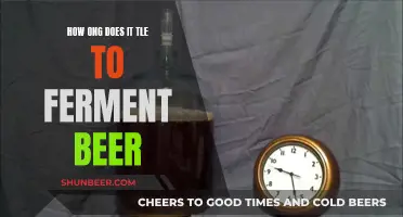 Fermentation Timeline: Unlocking the Secrets of Beer's Magic Brew