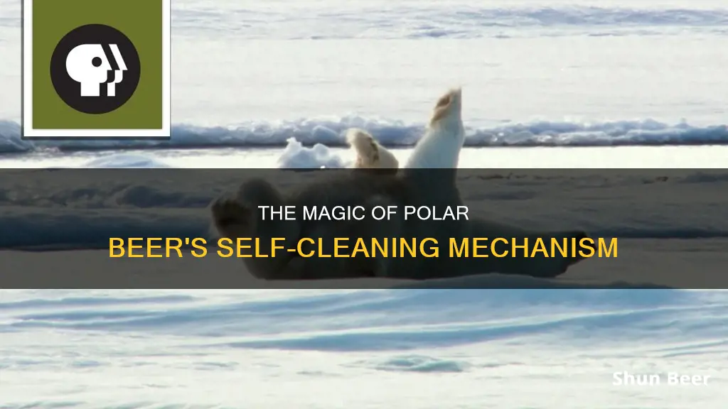 how polar beers clean themselves