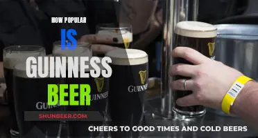 Guinness Beer: A Globally Beloved Stout?