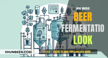 Mastering the Art of Beer Fermentation: A Visual Guide