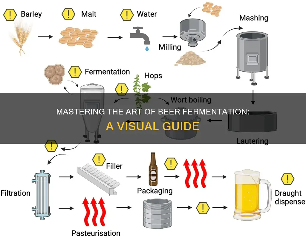 how should beer fermentation look