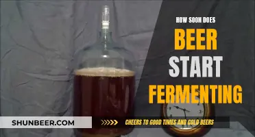 Uncorking the Magic: When Does Beer Begin to Ferment?