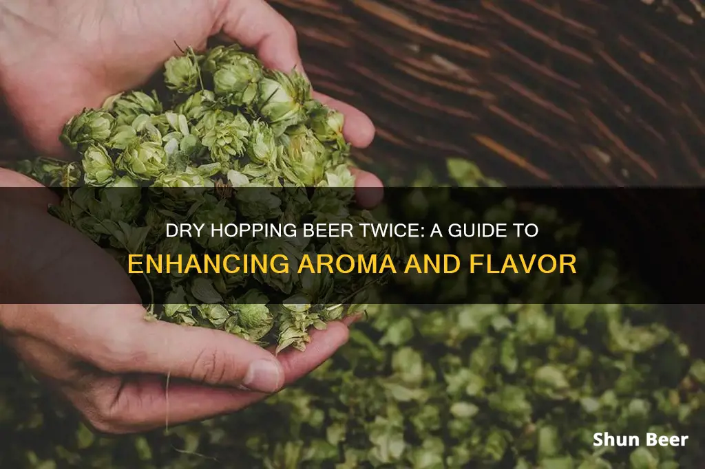 how to 2nd dry hop beer