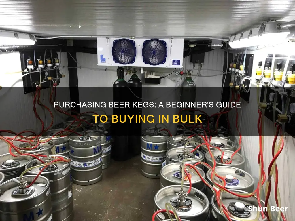 how to buy a beer keg