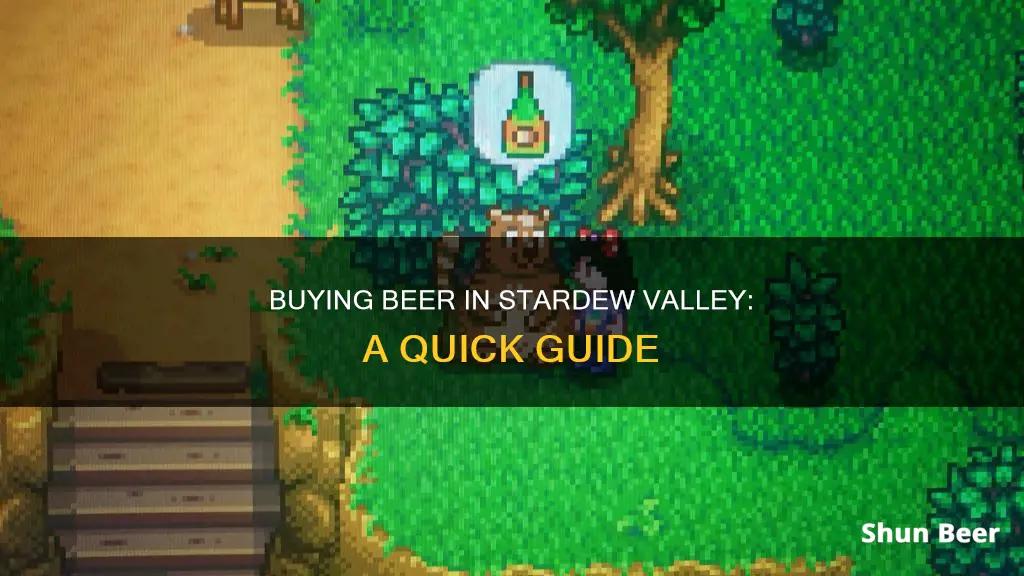 how to buy a beer stardew alley