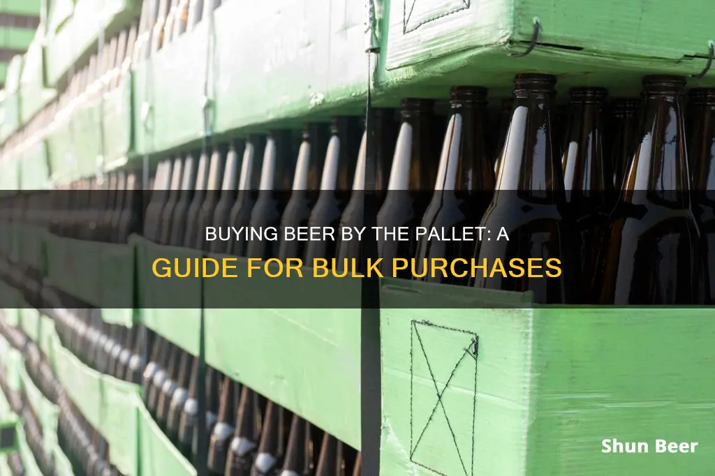 how to buy beer by the pallet