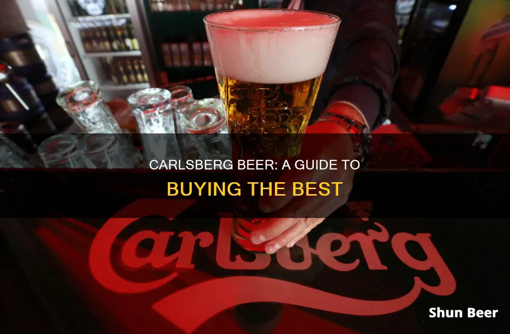 how to buy beer from carlsberg