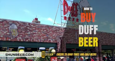 Duff Beer: Where to Buy and What to Know