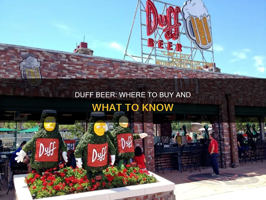 how to buy duff beer