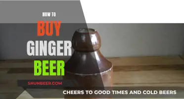 Ginger Beer Buying Guide: What to Look For