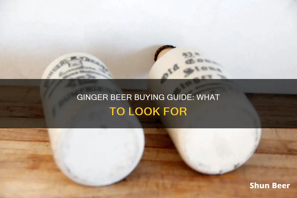 how to buy ginger beer