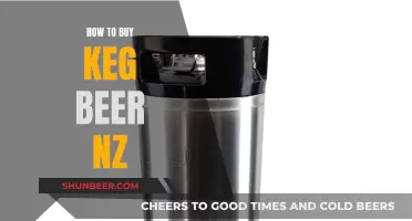 Keg Beer Buying Guide for Kiwis