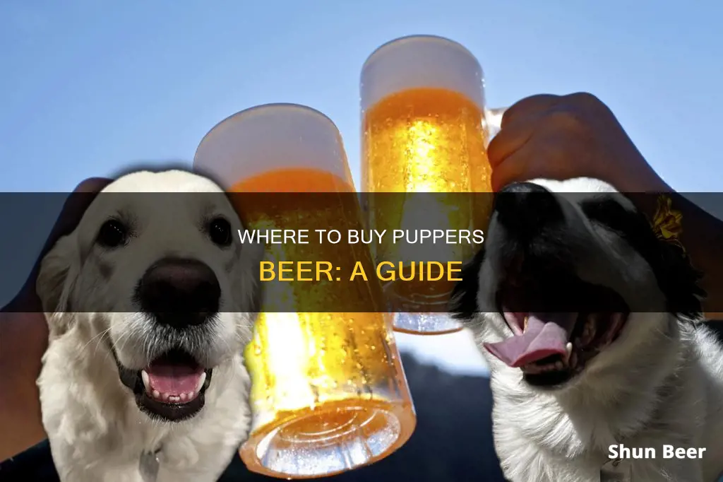 how to buy puppers beer