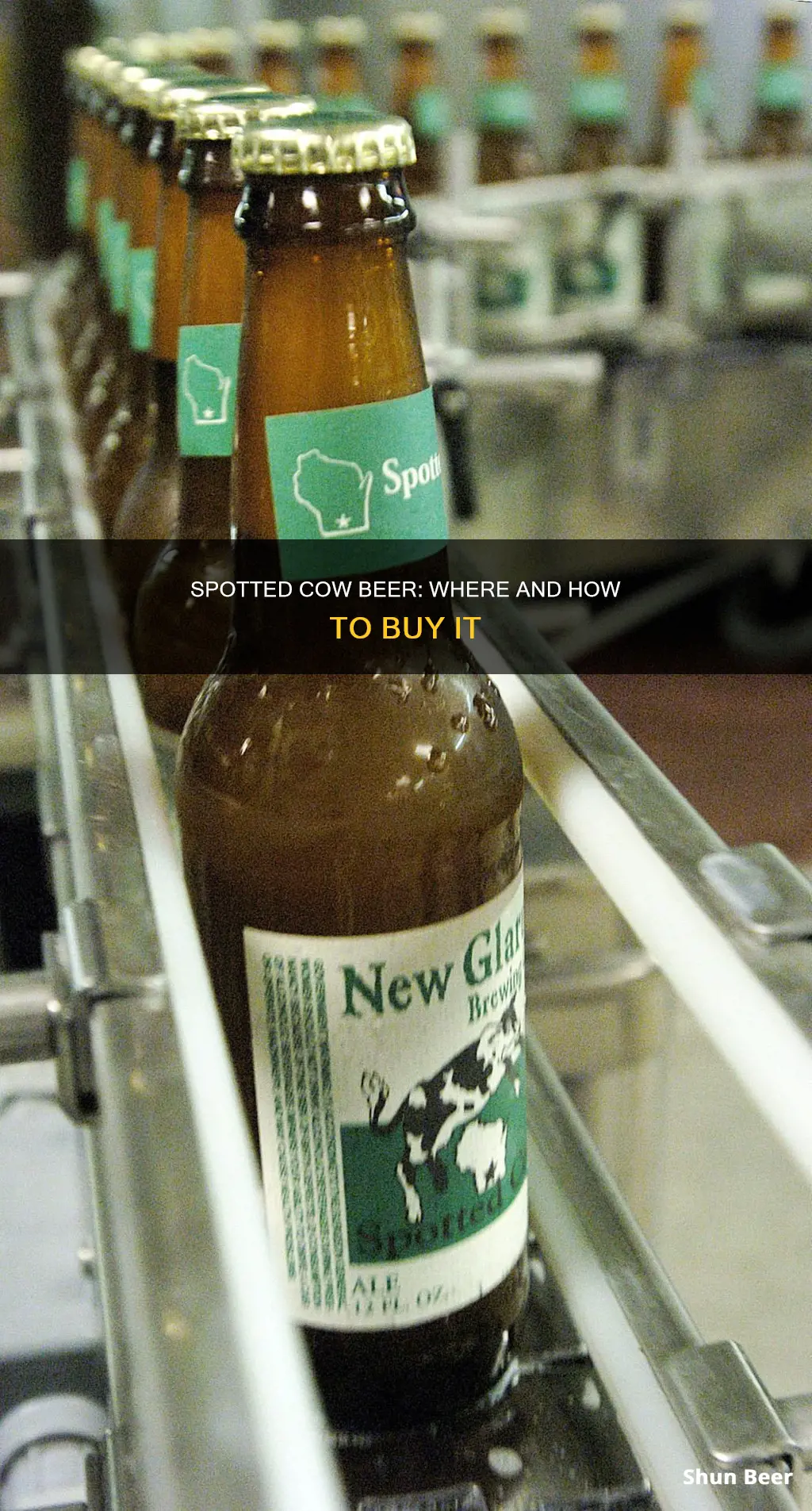 how to buy spotted cow beer