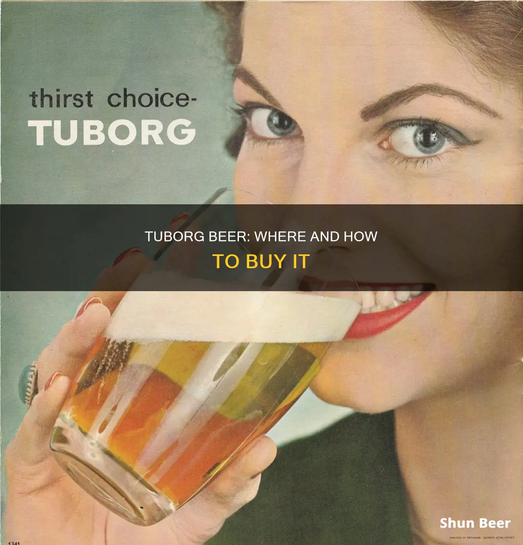 how to buy tuborg beer