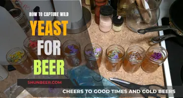 Uncorking Nature's Brew: A Guide to Wild Yeast Beer Capture