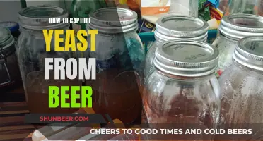 Mastering Yeast Capture: A Guide to Brewing Success