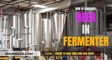 Carbonate Beer at Home: Fermenter Tips for the Perfect Sparkling Brew