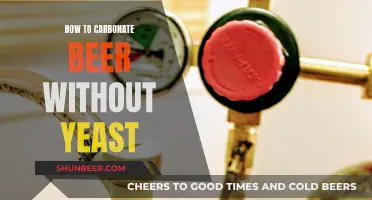 Carbonation Without Yeast: A Guide to Craft Beer's Secret