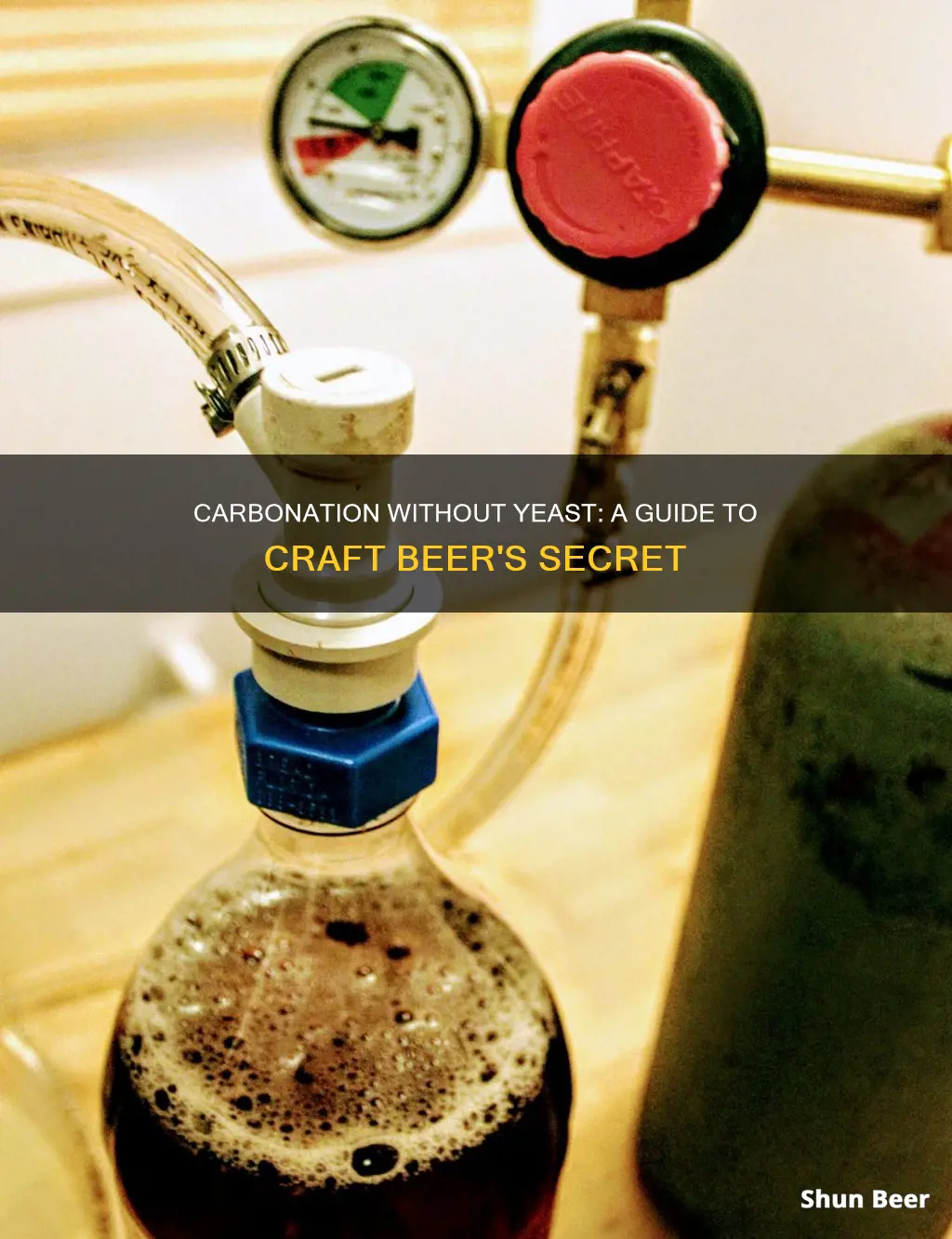 how to carbonate beer without yeast