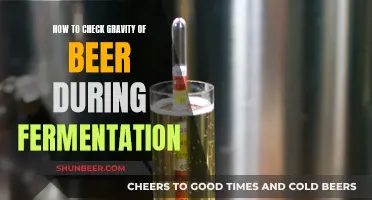 Mastering Beer Gravity: A Guide to Fermentation Monitoring