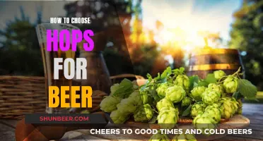 Choosing Hops for Beer: A Guide to Aromatic Excellence