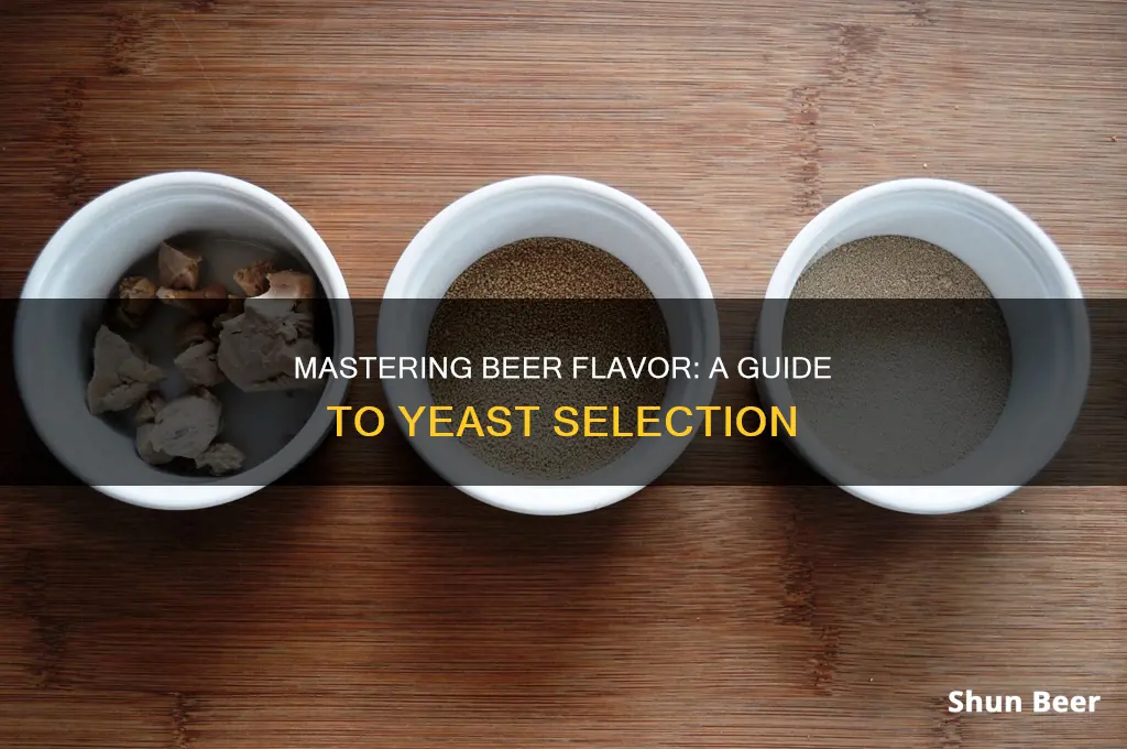 how to choose the right yeast for beer