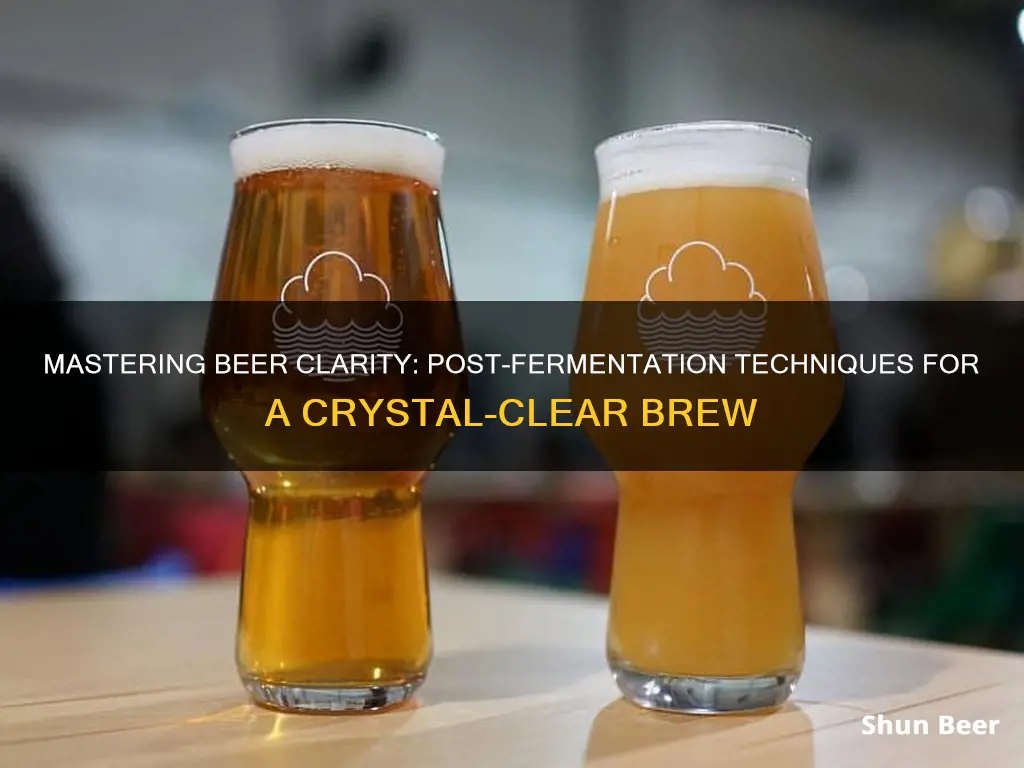 how to clarify beer after fermentation