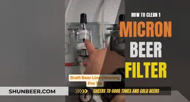 Mastering the Art of Cleaning 1-Micron Beer Filters: A Comprehensive Guide