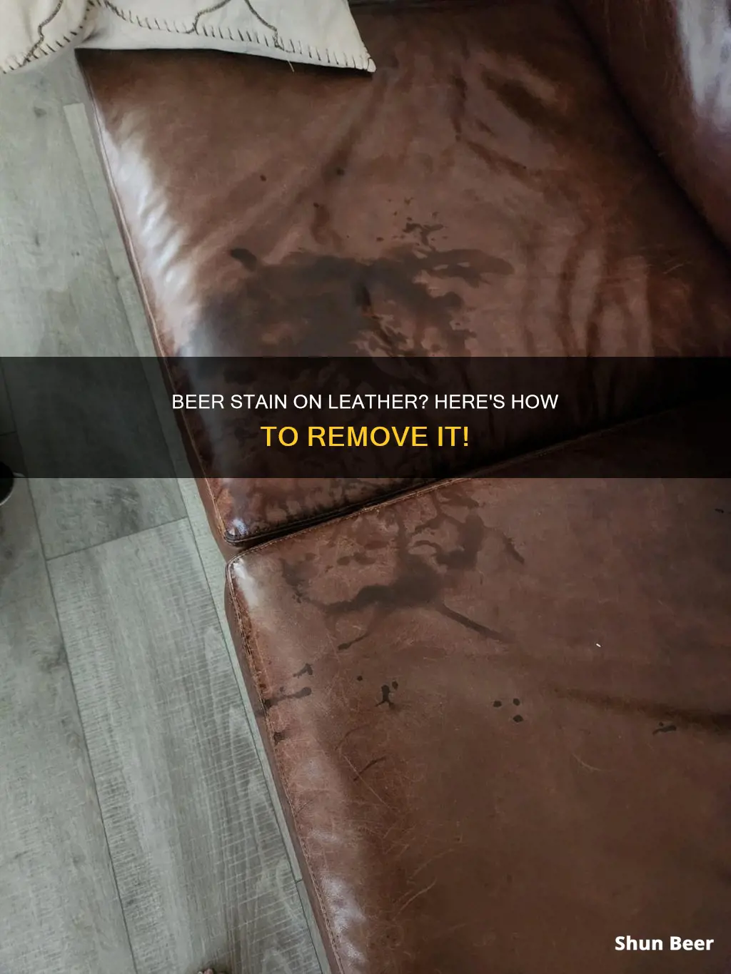 how to clean a beer stain out of leather