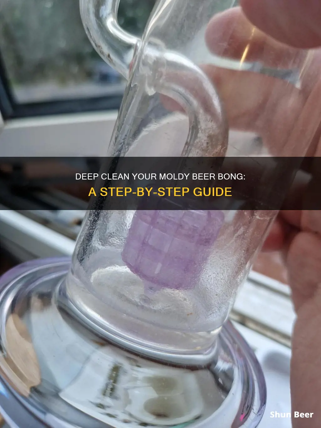 how to clean a mold beer bong