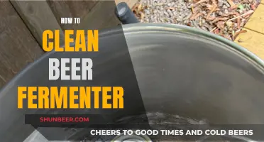 Mastering the Art of Beer Fermenter Cleaning: A Comprehensive Guide