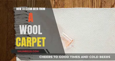 Beer Spill on Wool Carpet? Here's How to Clean It!