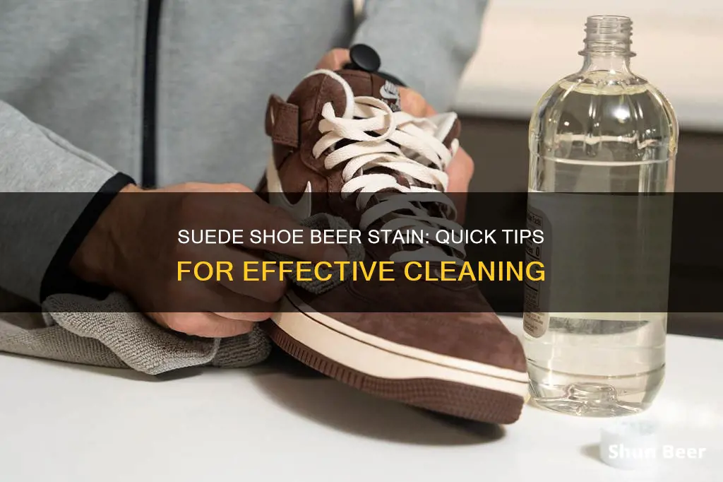 how to clean beer from suede shoes