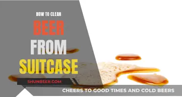 Traveler's Guide: Effective Beer Stain Removal from Suitcases