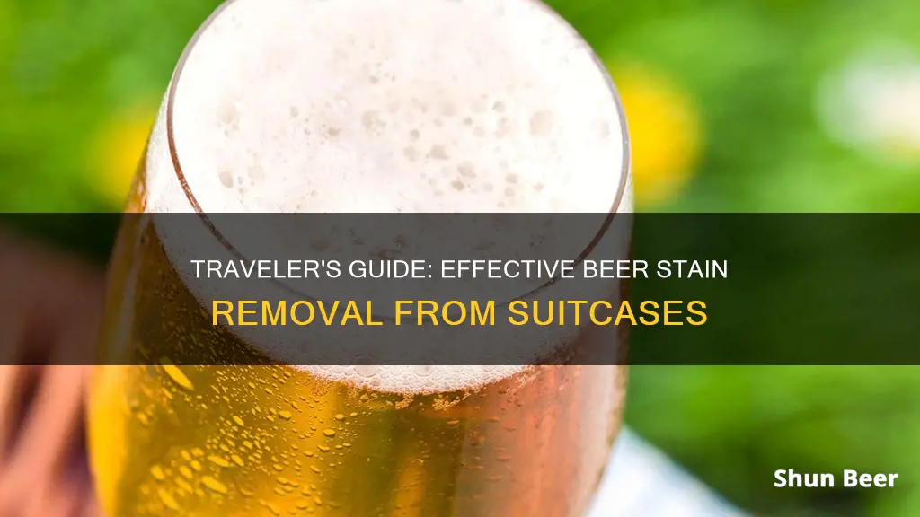 how to clean beer from suitcase