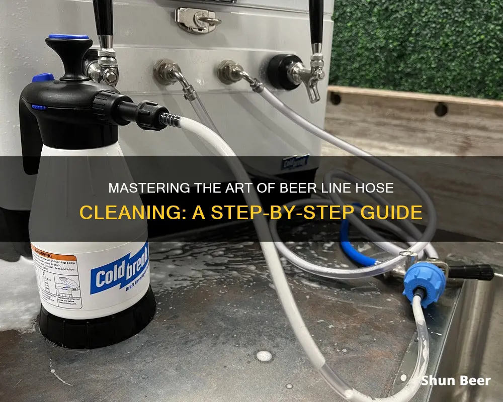 how to clean beer line hoses