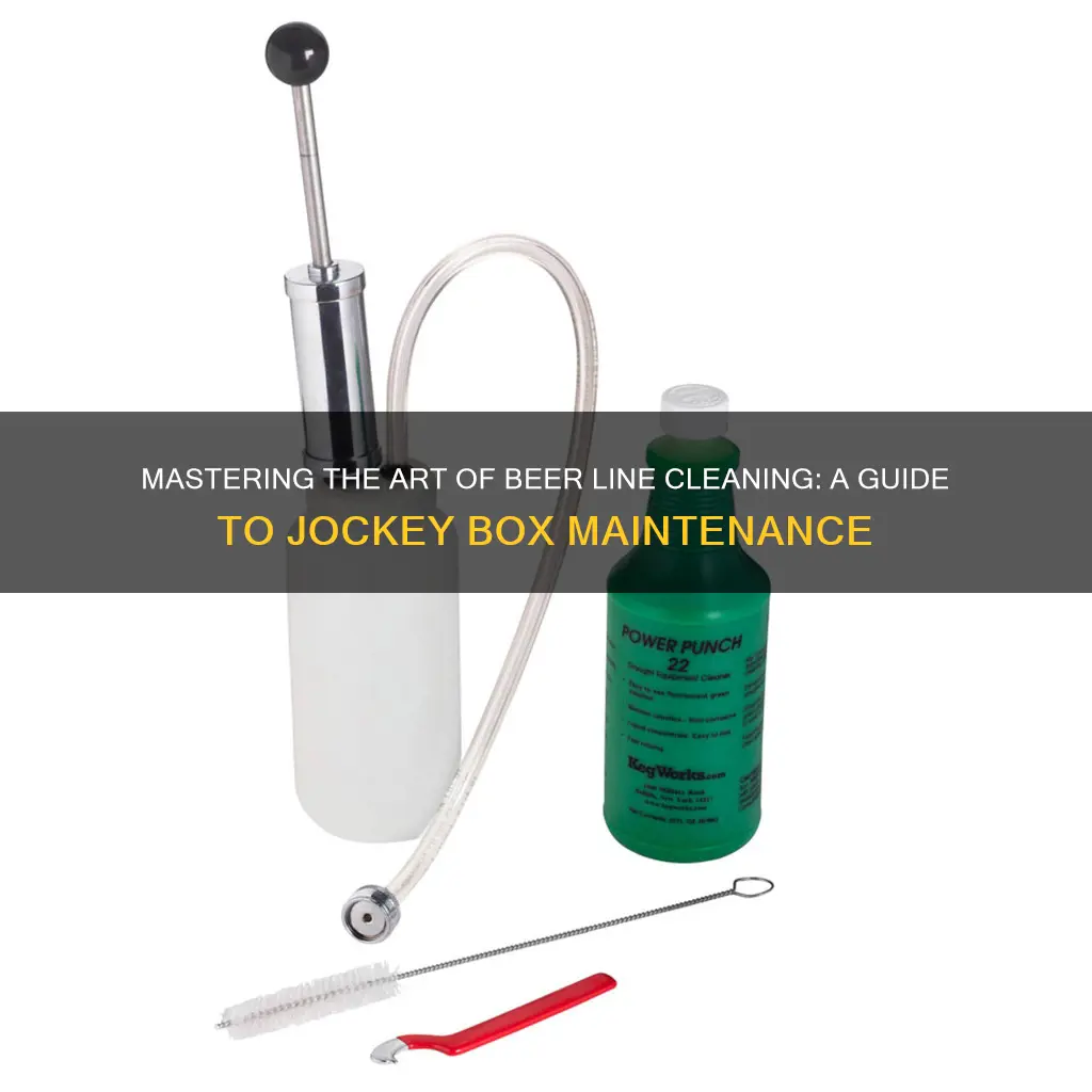 how to clean beer lines in jockey box