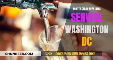 Mastering Beer Line Cleaning: A Guide to Perfect Pints in Washington, DC