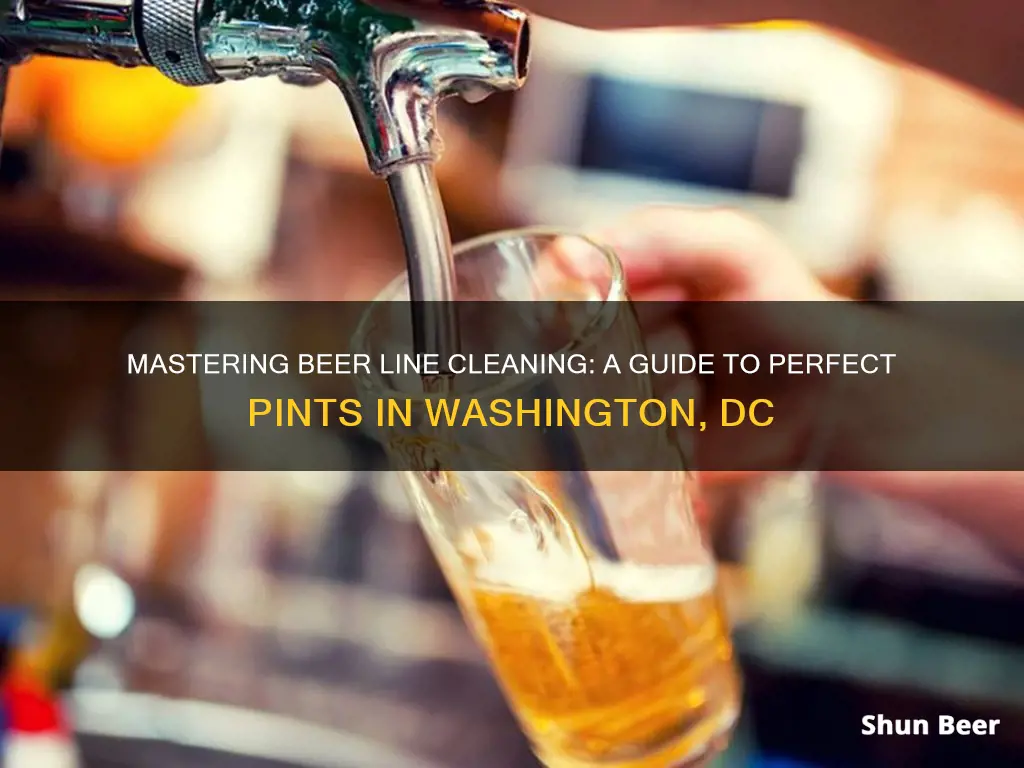 how to clean beer lines service washington dc