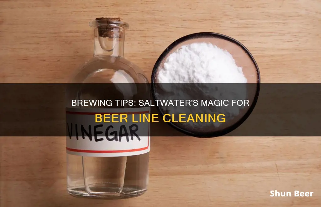 how to clean beer lines with salt water