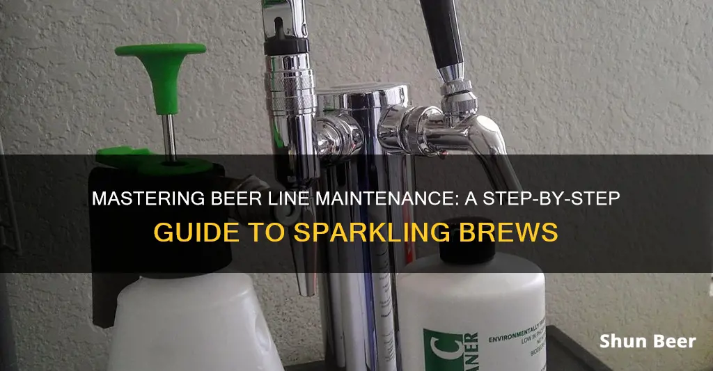 how to clean beer lines