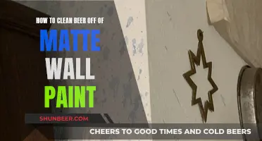 Beer Stain Removal: Tips for Cleaning Matte Wall Paint