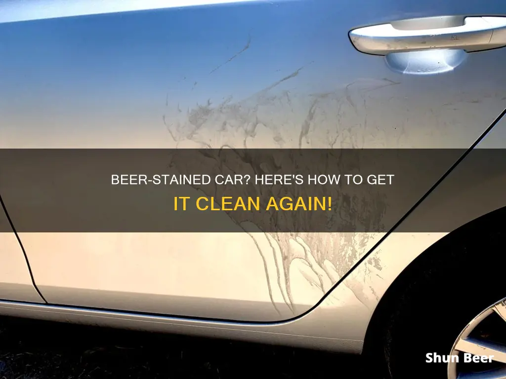 how to clean beer out of a car