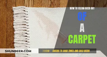 Beer-Stained Carpet? Here's How to Get It Clean Again!