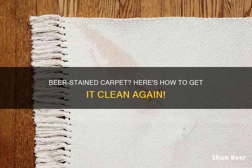 how to clean beer out of a carpet